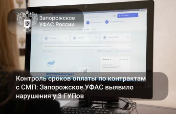 Запорожское УФАС: итоги контроля сроков оплаты по контрактам с СМП
