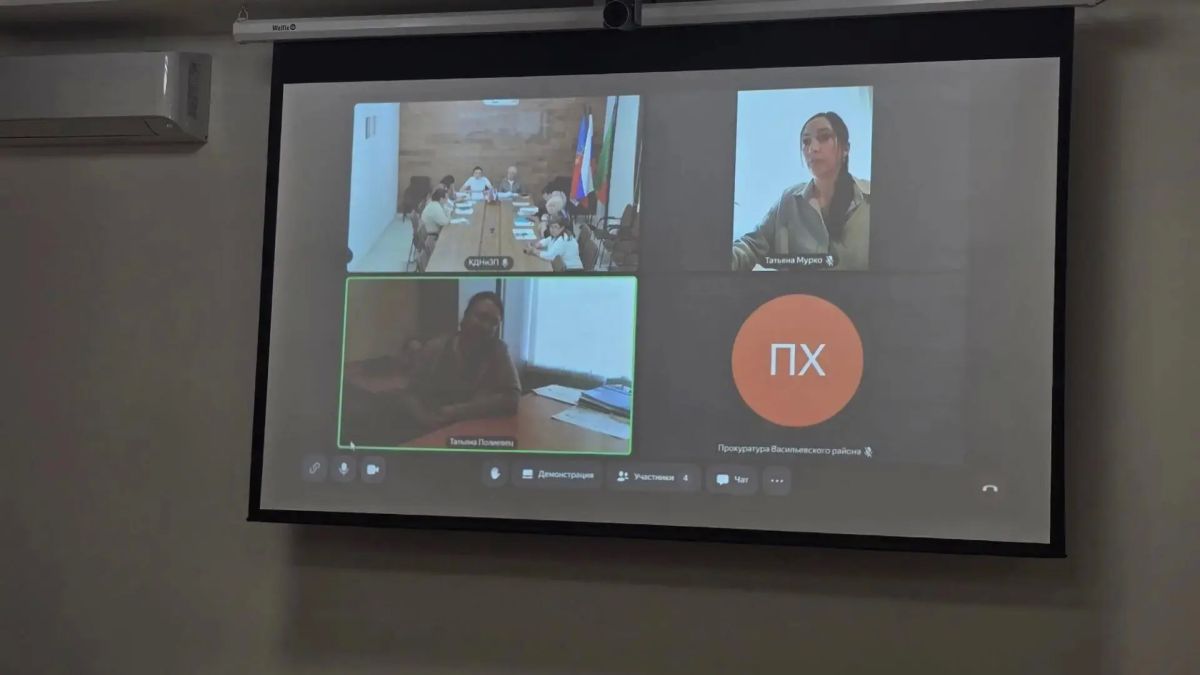 В Васильевском муниципальном округе прошло очередное заседание комиссии по делам несовершеннолетних В Васильевском муниципальном округе прошло очередное заседание комиссии по делам несовершеннолетних