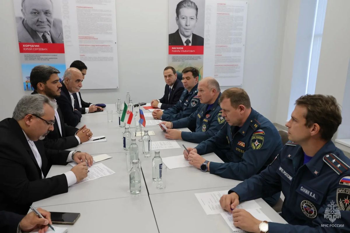 МЧС России и Иран обсудили развитие сотрудничества в сфере чрезвычайного реагирования