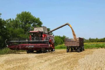 В Запорожской области собрали 1,8 миллионов тонн зерна