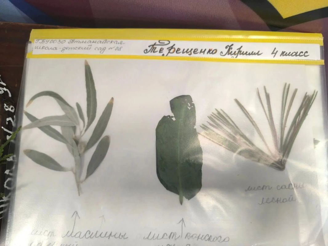 К конкурсу гербариев и икебаны «Тебе, любимый округ» присоединился Атманайский территориальный отдел К конкурсу гербариев и икебаны «Тебе, любимый округ» присоединился Атманайский территориальный отдел
