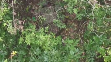 ��������� ���� 14 ��������� ������� �������� ����������� ����� "������" ������� ����� �� ����� ���� ���������� �� ����������� �����������