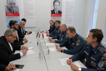 МЧС России и Иран обсудили развитие сотрудничества в сфере чрезвычайного реагирования