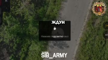 Операторы FPV дронов выполняют задачи по поражению вражеских БпЛА и укрытий, осуществляют контроль логистических маршрутов