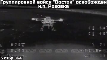 ВС РФ освободили поселок Розовка в Запорожской области
