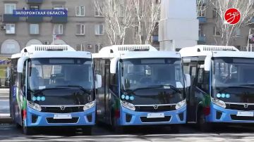 Состоялось очередное заседание Правительства Запорожской области