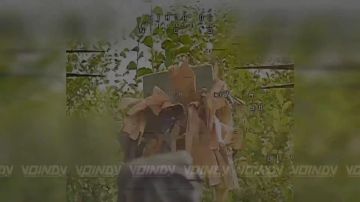 ��������� ���� 38 ��������� ����������� �������������� ������� 35 ����� ����������� ����� ������� ���������� �������� �� ����� �������� ������� ���������� ��� �� ����������� �����������