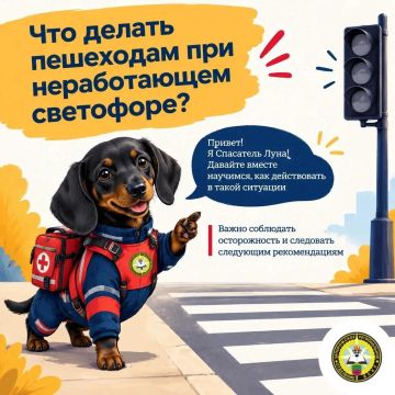 ��� ������ ��������� ��� ������������ ���������?