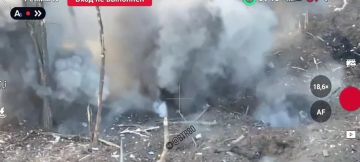 Ликвидация живой силы противника на одном из участков СВО с применением БПЛА "Молния"