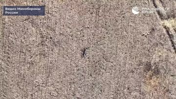 ����� "������" ���������� ������ ������ � ������� ��� ������ ������� � ����������� �������
