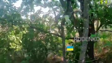 ������ �������: ����� ������ ������ ����� ������� �� ������������ ������ ������� � ����������� �������