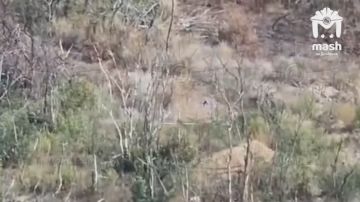����� � ��� ��� ��, ��� ���� ����� �� 42-� ����������� ������� ���������� �� ����� ������� ���������� ���� �� ����������� �����������