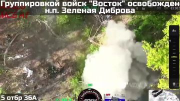 ПОДРАЗДЕЛЕНИЯ ГРУППИРОВКИ ВОЙСК "ВОСТОК" ОСВОБОДИЛИ НАСЕЛЁННЫЙ ПУНКТ ЗЕЛЕНАЯ ДИБРОВА