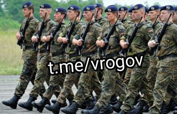 Владимир Рогов: В Германии 18-летних уже готовят к большой войне