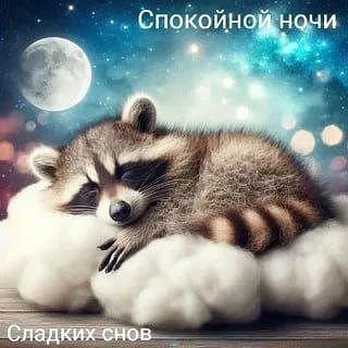 Доброй ночи, дорогие подписчики! Доброй ночи, Запорожье!
