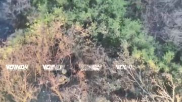 Операторы БпЛА 1198 мотострелкового полка 35 армии группировки войск "Восток" выявили и уничтожили живую силу противника на Запорожском направлении