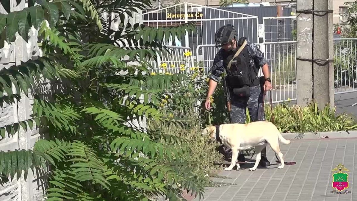 Полицейские Запорожской области обеспечили безопасность на избирательных участках
