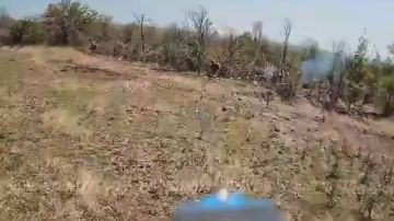 77 полк войск беспилотных систем ликвидировал малую группу пехоты ВСУ в Запорожской области