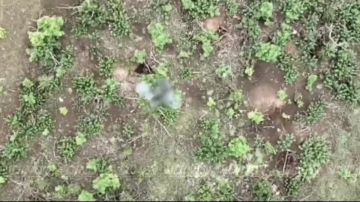����� �������� ��������!. ��������� 14 ��������� ������� �������� ����������� ����� "������" ������� ����� �� ����� ���� ���������� �� ����������� �����������