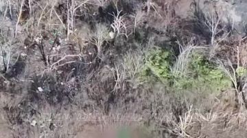 ��������� ���� 77 ���������� ����� ����������� ������ ����������� ����� ������� ������������� ����� ������ ����� ���� ���������� �� ����������� �����������
