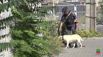 Полицейские Запорожской области обеспечили безопасность на избирательных участках