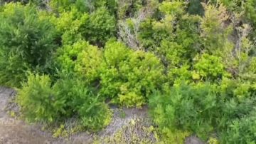 ��������� 14 ��������� ������� �������� ����������� ����� "������" �������� ����� ���� ���������� �� ����������� �����������