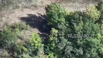 Андрей Руденко: Операторы ударных БпЛА Ивановских десантников парализовали систему снабжения ВСУ у Орехова в Запорожской области