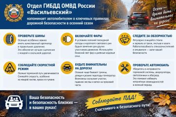 Осень: будьте внимательнее на дорогах!