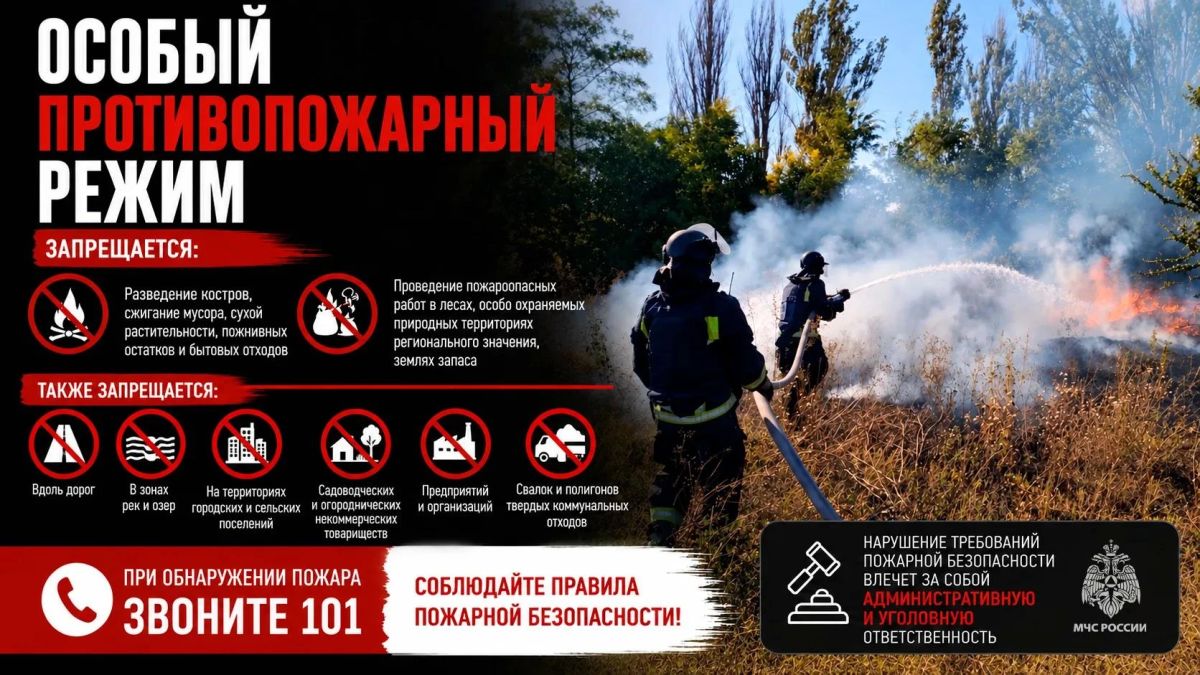 В Запорожской области пресечены нарушения требований особого противопожарного режима