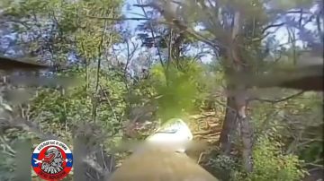 ��������� FPV-������ ���������� ����������� ������� ������� ������ ����������