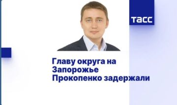 Глава Приморского округа Владимир Прокопенко задержан по подозрению в злоупотреблении полномочиями — ТАСС