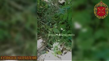 ��������� �����������: ������ ������ 121-�� ��������������� �����