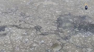 � ���������� ��������� ������������� ���������� ���� �� �������� ������������� ��� ���� ������� � ������ ����������� � ���������� ���������� ������������ �����