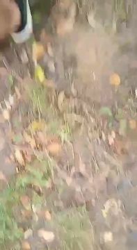 � ������� ������� ��������� � �������� � ������������ ���