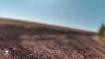 ����� ������ ����-32 ����������� �� ����� ������ ������ ���������� ���� ����������� ���� Hornet
