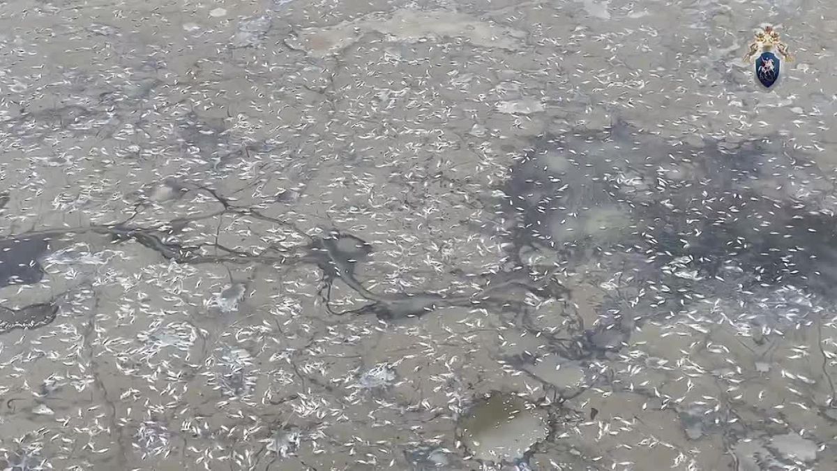 В Мелитополе завершено расследование уголовного дела об осушении поверхностных вод реки Домузла и гибели биоресурсов в результате проведения строительных работ