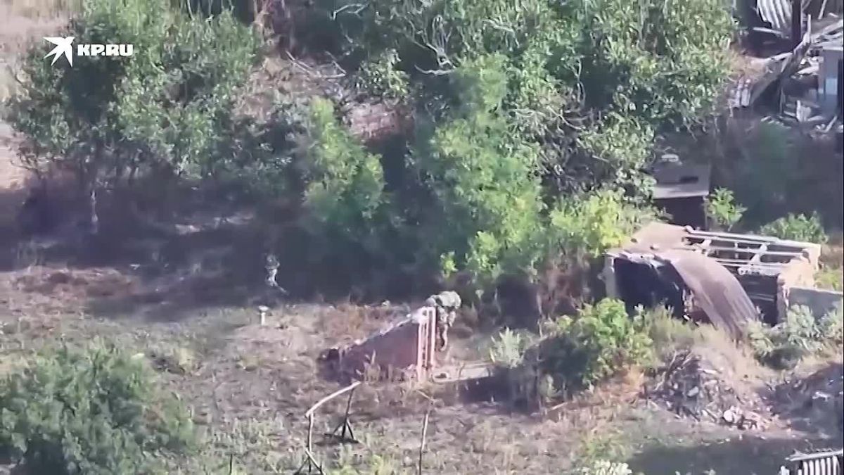 Офицеры ВДВ расказали об освобождении от ВСУ запорожской Новопавловки