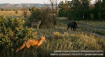ПАМЯТКА ДЛЯ ЖИТЕЛЕЙ Безопасность при появлении диких животных (правила для взрослых и детей)