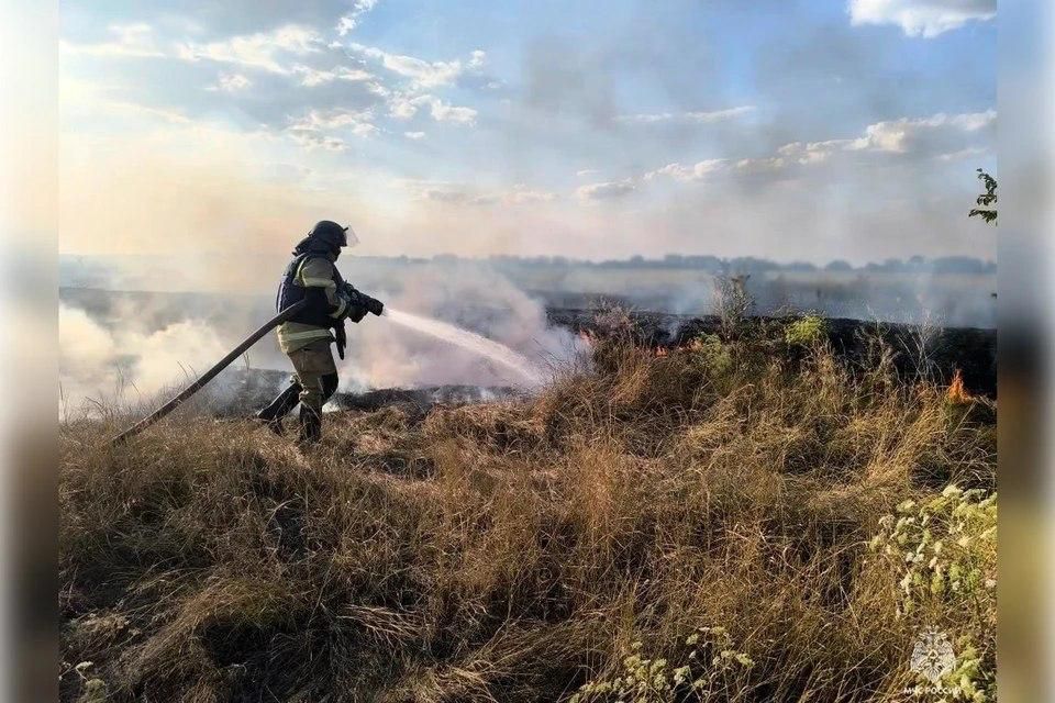 В ДТП в Запорожской области погиб человек