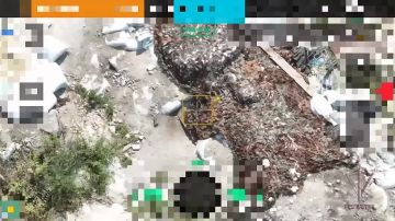 �������� ���� ���������� ��������� �������� ��� � ������� �������� FPV-����� � ����������� �������