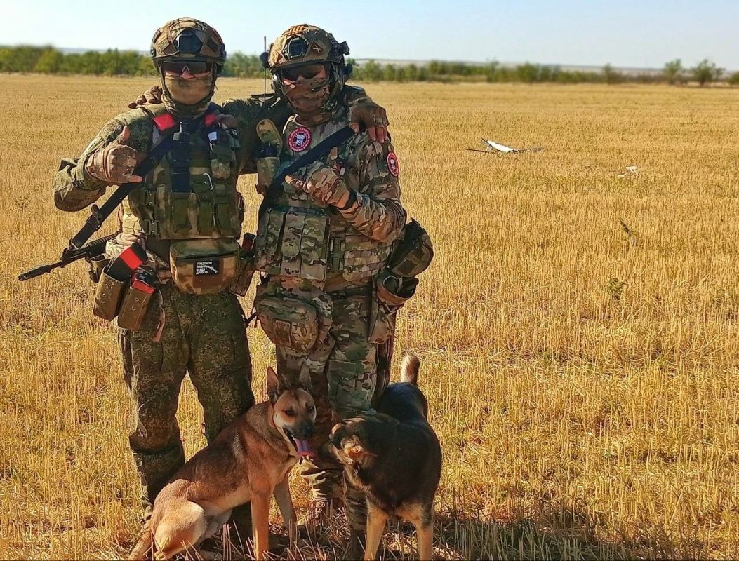 Бойцы отряда БАРС-32 запечатлели на видео момент сбития вражеского БпЛА самолетного типа Hornet Бойцы отряда БАРС-32 запечатлели на видео момент сбития вражеского БпЛА самолетного типа Hornet