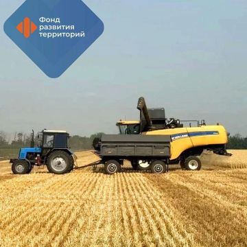 Булочная, сельхозпредприятие и завод по производству полимерной продукции стали участниками СЭЗ