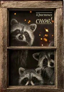 ������ ����, ������� ����������! ������ ����, ���������!