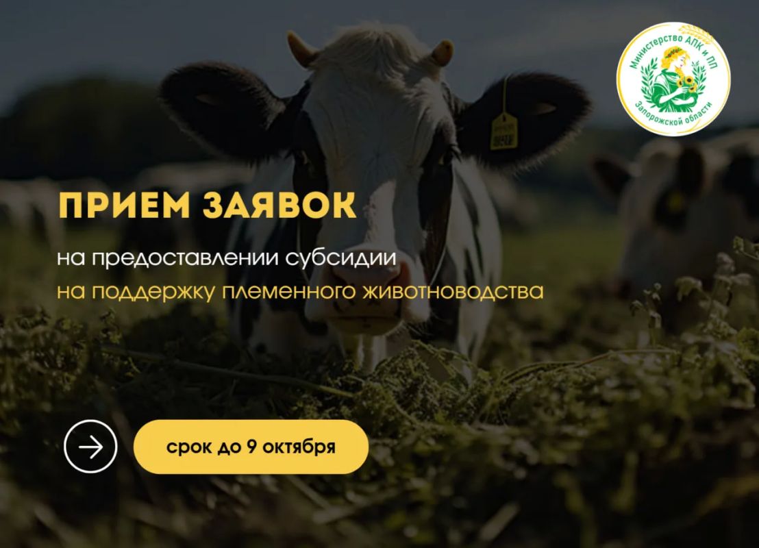 Информируем о начале отбора на предоставление субсидий сельскохозяйственным производителям на поддержку племенного животноводства