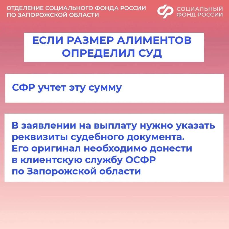 Как Соцфонд по Запорожской области учитывает алименты при оформлении единого пособия Как Соцфонд по Запорожской области учитывает алименты при оформлении единого пособия
