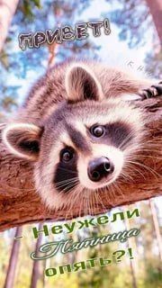 Доброе утро, друзья! Хорошего вам дня и отличного настроения!