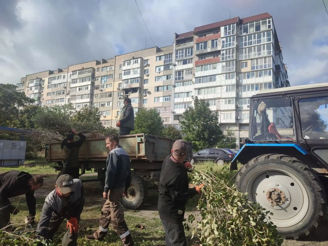 Зеленые насаждения – не только красота Зеленые насаждения – не только красота