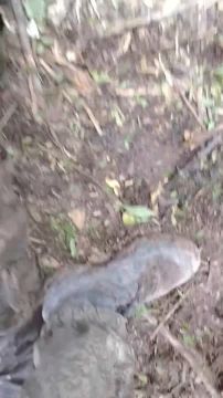 �������� ��������� ���� ��������� �������� ��� ���, ��� � ��� ����� ��� ����� ����������� ������