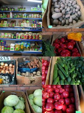 Мониторинг цен на рынке «Колхозный» на сегодняшний день