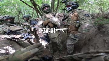 ���� ����� ����� ������ � GoPro ������ �� ���